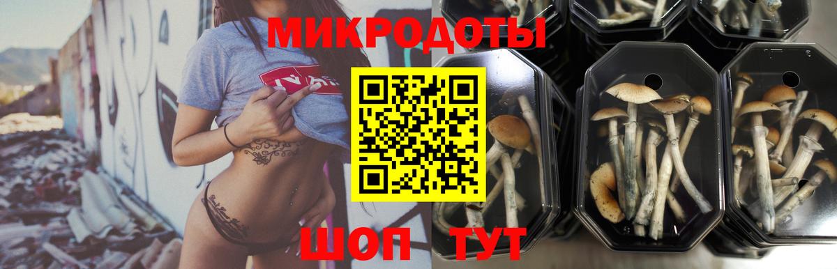 Псилоцибиновые грибы Magic Shrooms  Вход с VPN  Новосибирск 