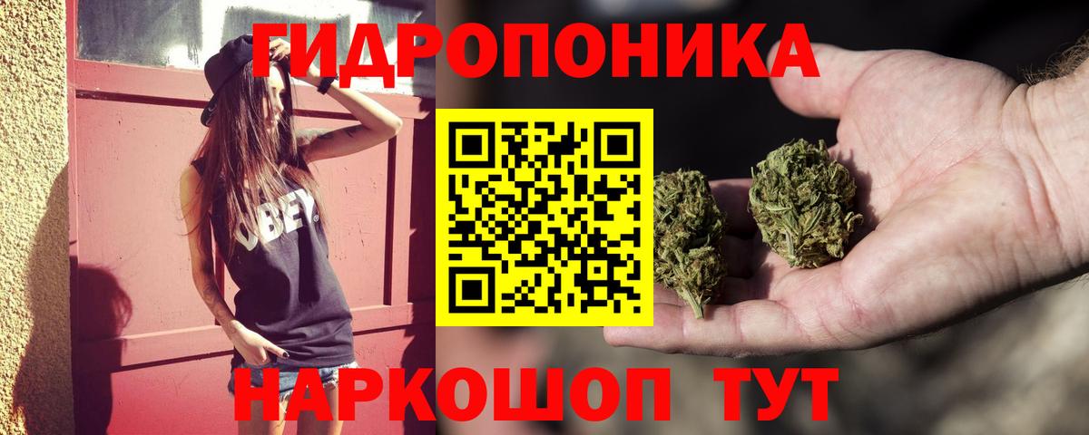 Бошки марихуана VHQ  Бошки Шишки Bruce Banner  Вход с VPN  Новосибирск 